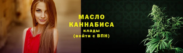 стафф Медногорск