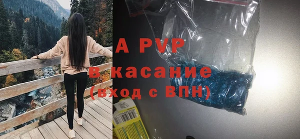 стафф Медногорск