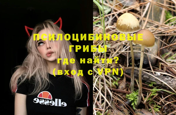 ешки Медвежьегорск