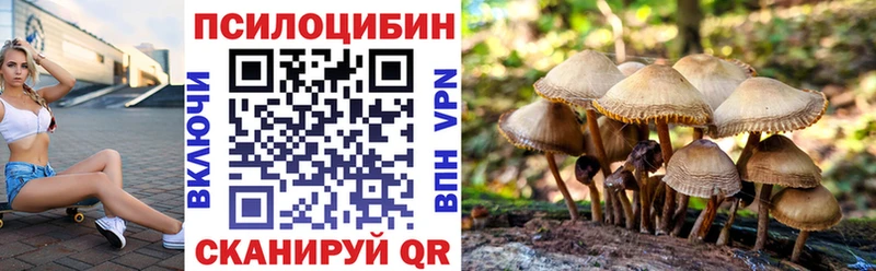 Псилоцибиновые грибы ЛСД  купить  цена  Наволоки 